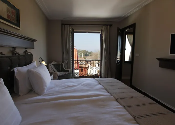 以弗所阿坎图斯酒店 塞尔丘克