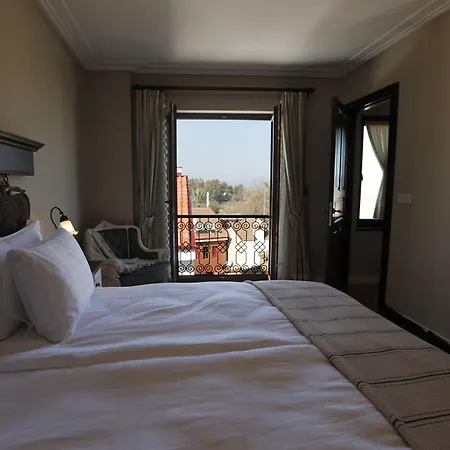 أكانتوس إفيسوس سلجوك