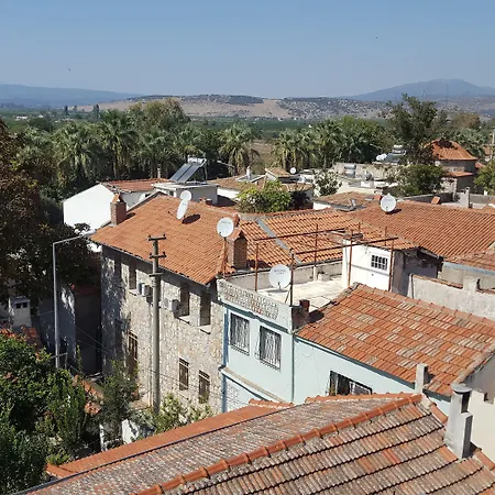 أكانتوس إفيسوس