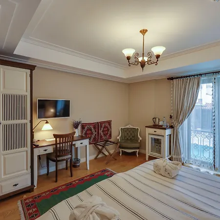 أكانتوس إفيسوس 3* سلجوك